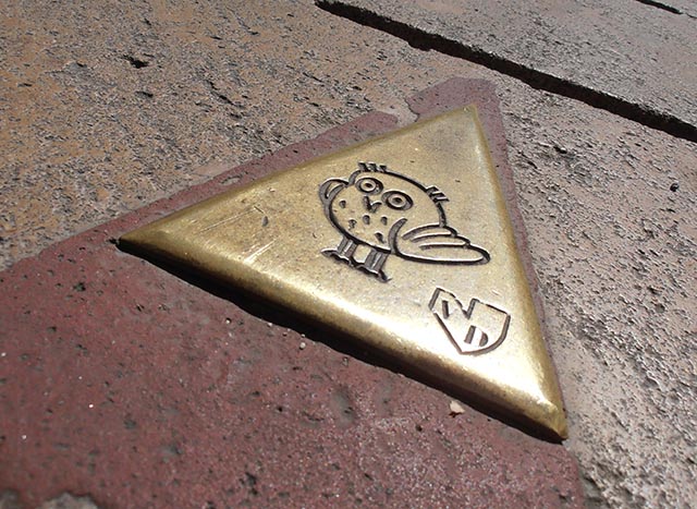 The Owl's trail  - Start Place Darcy