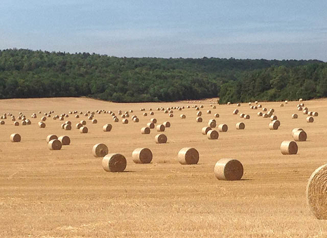 Landschap nabij Champlitte